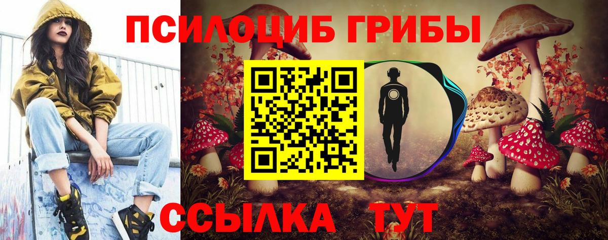 Псилоцибиновые грибы Psilocybine cubensis Первоуральск